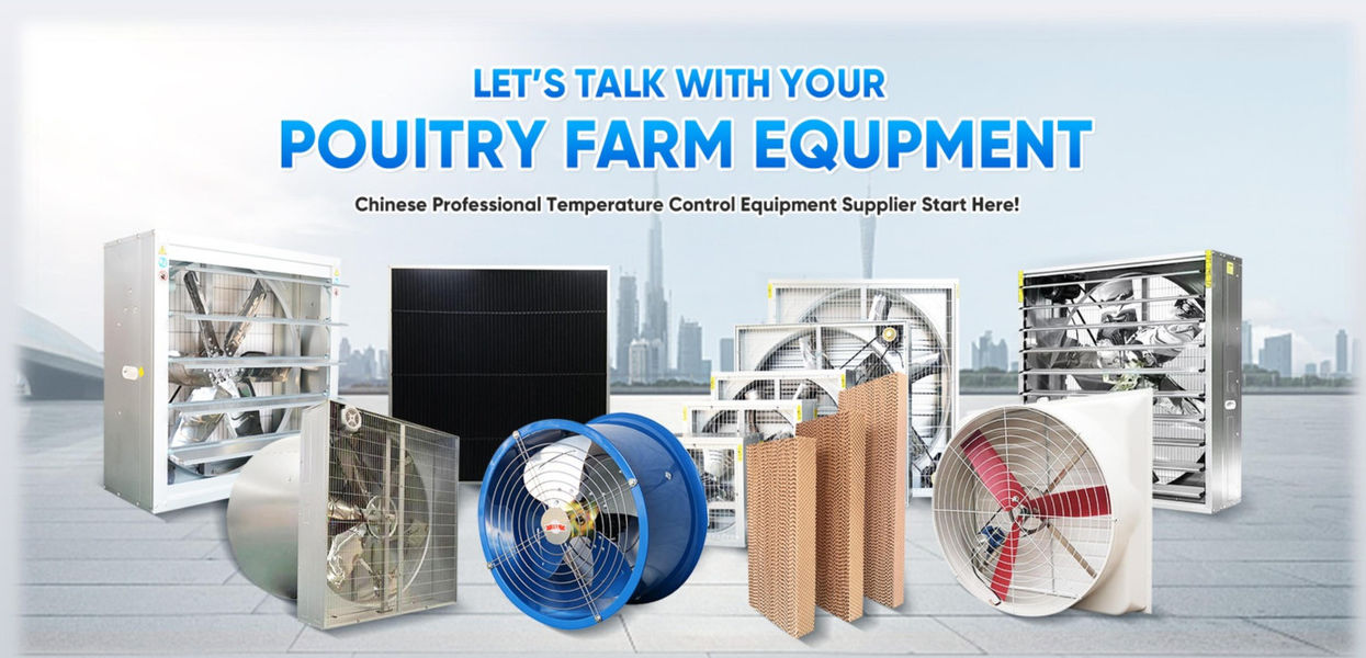 Shandong Xingmuyuan Agriculture and Animal Husbandry Technology Co.,ltd productielijn van de fabrikant